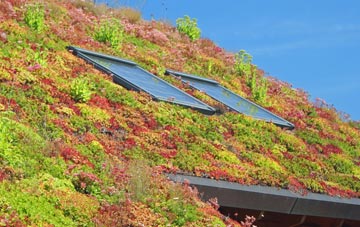Ecton Brook living roof systems